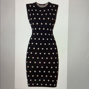 BCBG Sleeveless Polka Dot Body-Avon Dress
